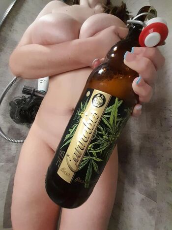 Acorn Sweetleaf