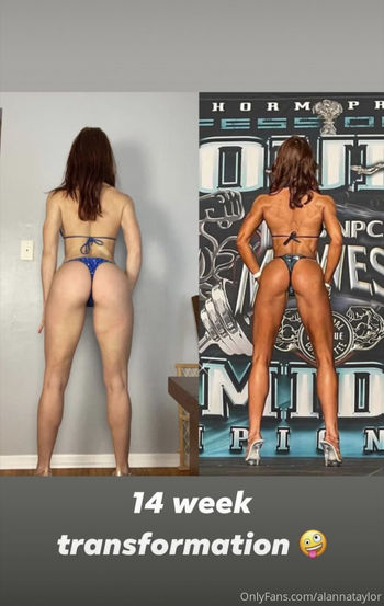 alannataylor
