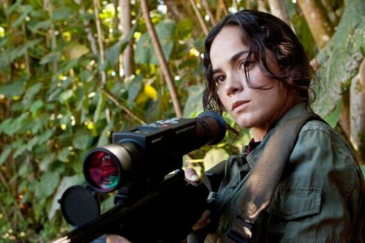 Alice Braga
