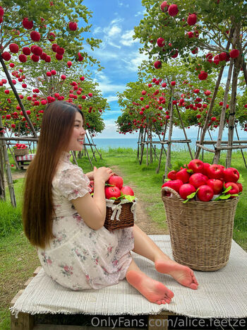 alice.feetze