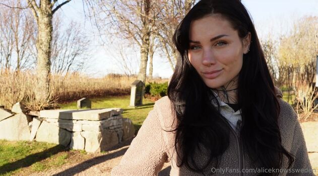 aliceknowssweden