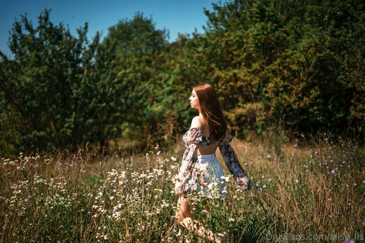 alise_lis