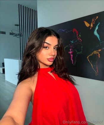 Alishbasheikh