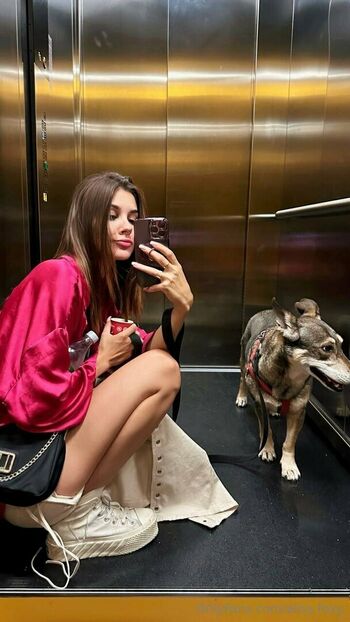 aliss.foxy
