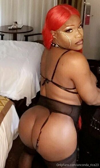 anconda_rice23