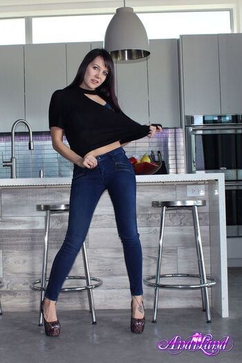 Andi Land