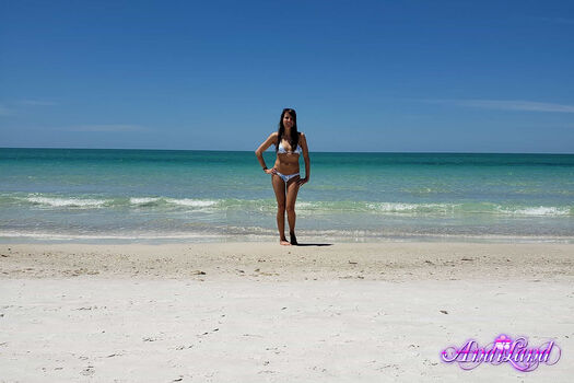 Andi Land
