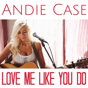 Andiecase