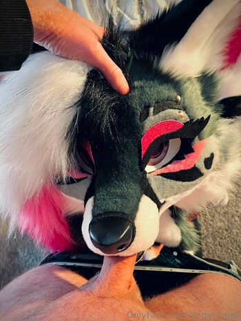 angel_pups