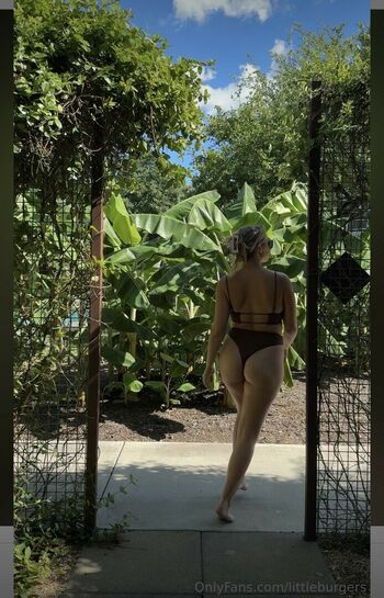 annafinefit