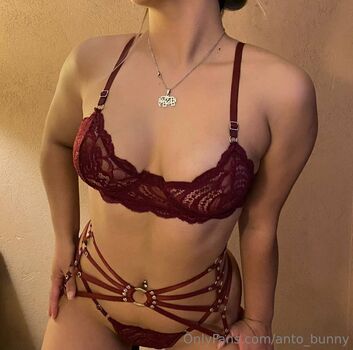 anto_bunny