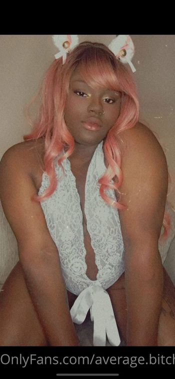 average.bitch78
