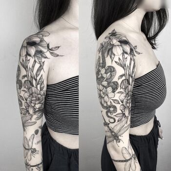Ayliner