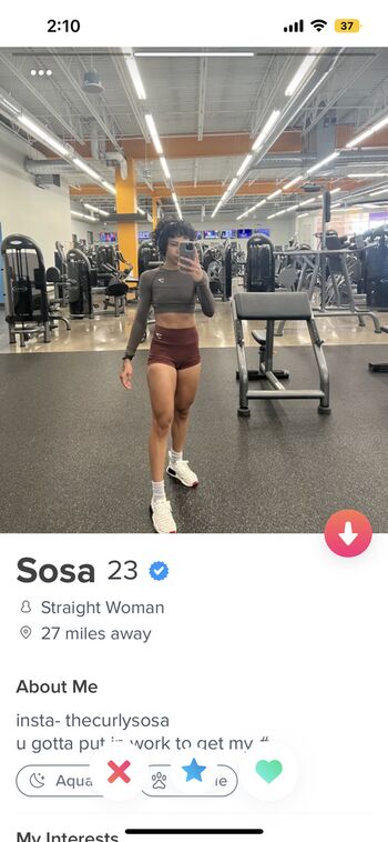 Baecia