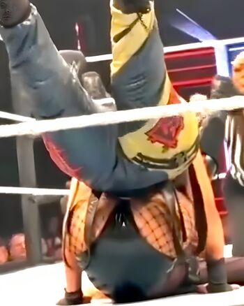 Bayley