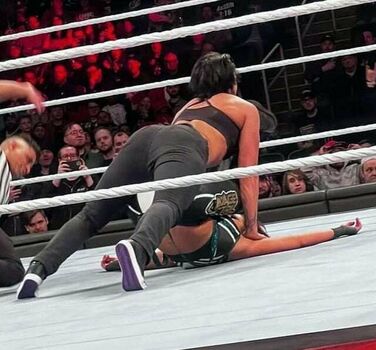 Bayley
