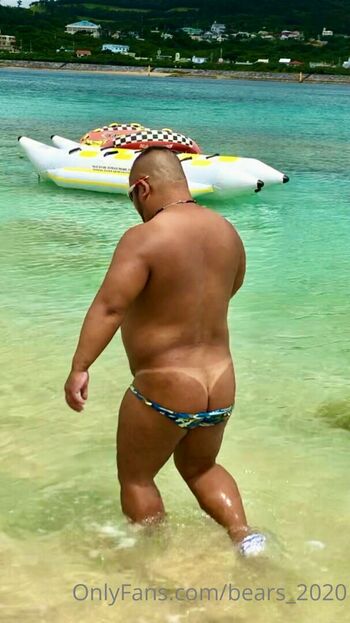 bears_2020