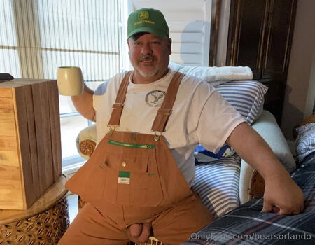 bearsorlando