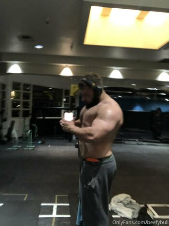 beefybull