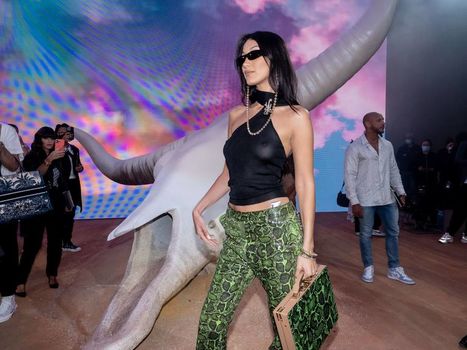 Bella Hadid