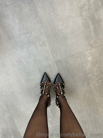 bellas_paws