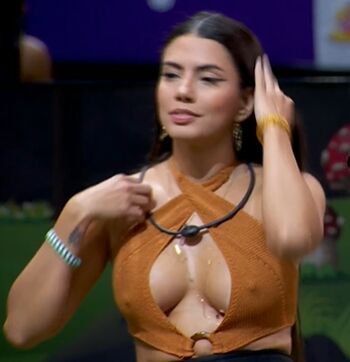 Big Brother Brasil 24