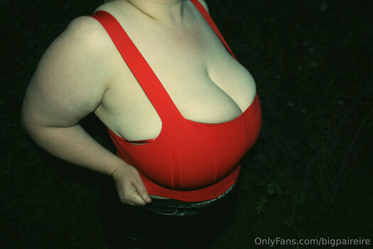 bigpaireire