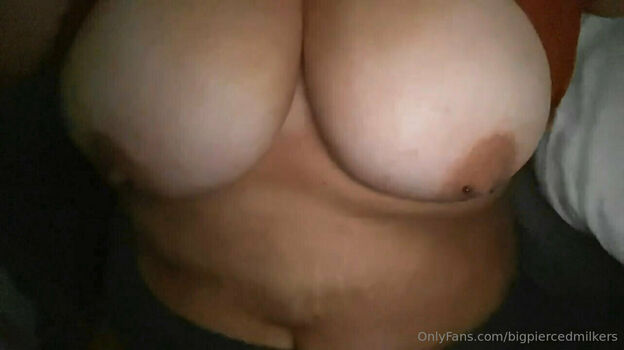 bigpiercedmilkers