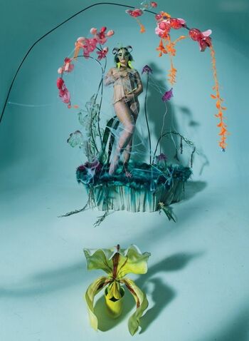 Björk