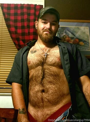 bluecollarguy7994