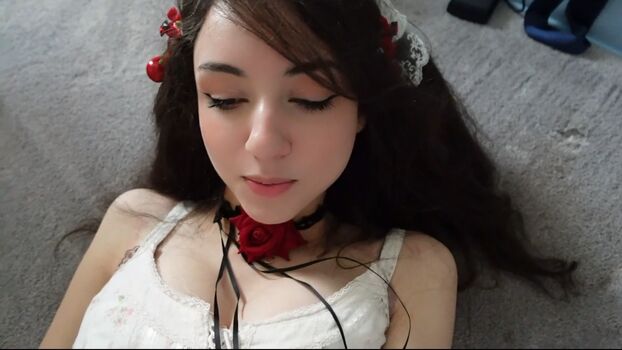 Bonnierabbit