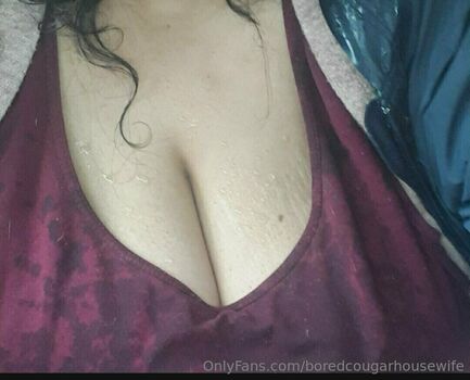 boredcougarhousewife