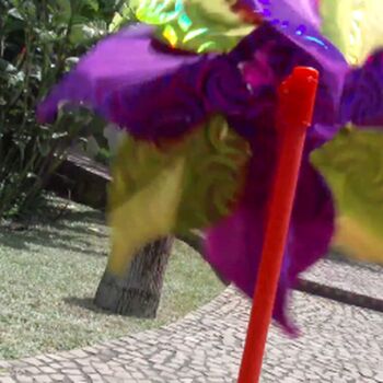 Brasileirinhas