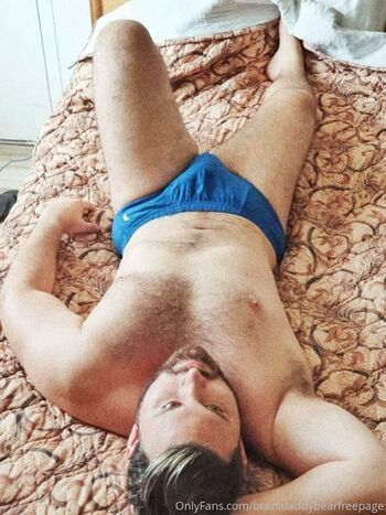 brazildaddybearfreepage