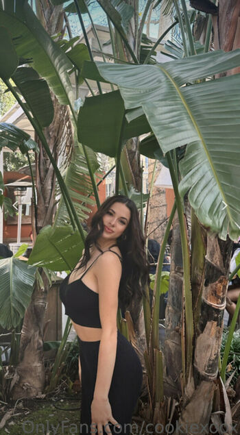 Bri Cookie