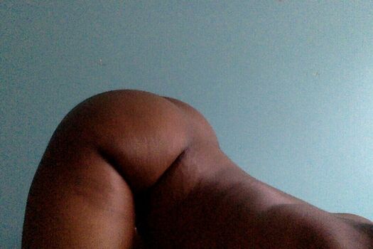 Bribunny