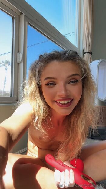 briebelle