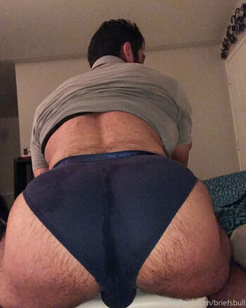 briefsbull