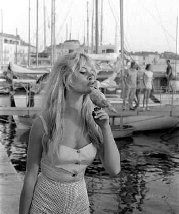 Brigitte Bardot