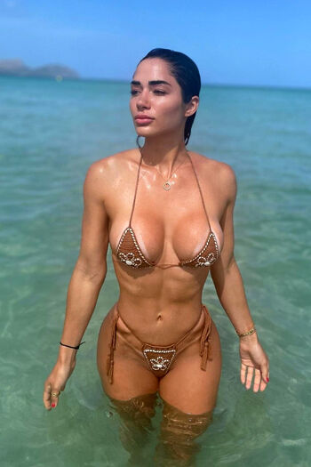 Bruluccas