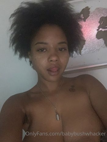 Bush Baby
