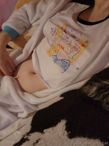 bustycat