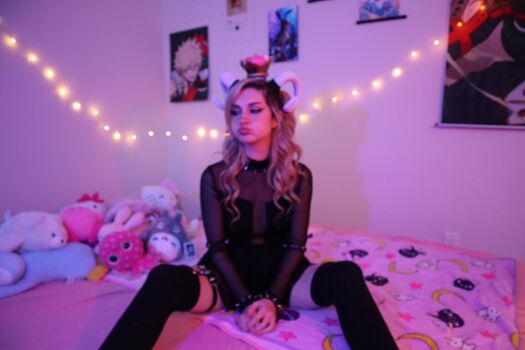 Busy B ASMR