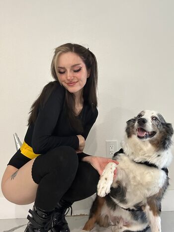 Busy B ASMR