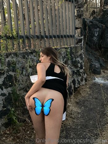 cacsfrut_free