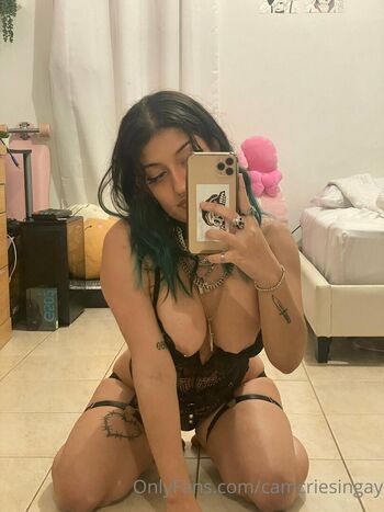 Camcriesingay