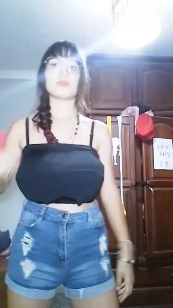 Camí Howden