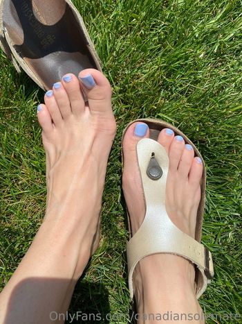 canadiansolemate