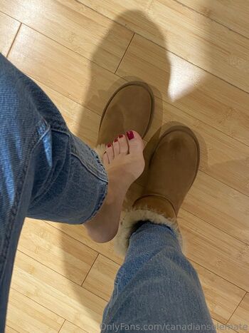 canadiansolemate