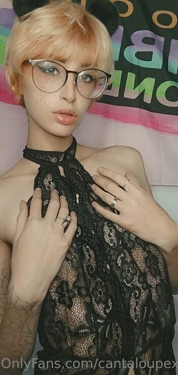 cantaloupexo